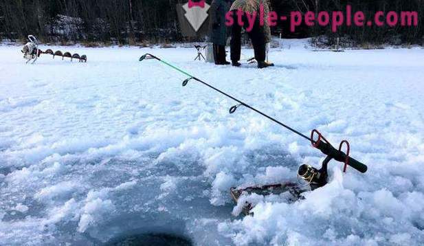 Medžioklė ir žvejyba Permės regione: ypač žvejybos, rūšys medžioklei ir žvejybai