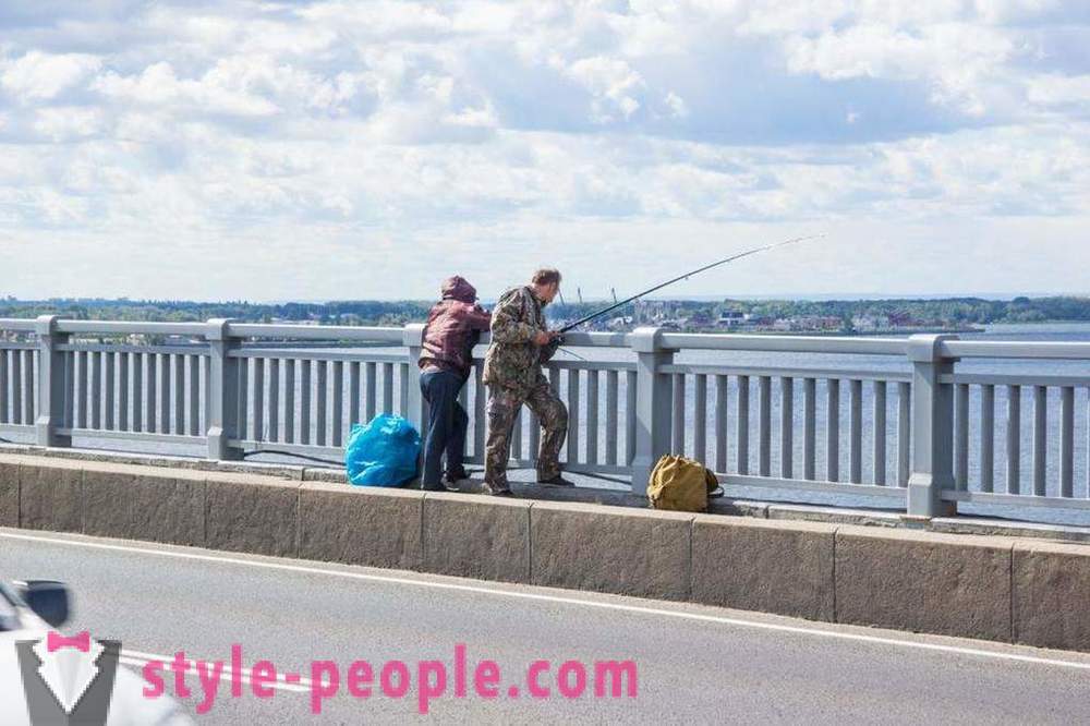Žvejyba Saratovo ant Volgos: nuotraukas ir atsiliepimus