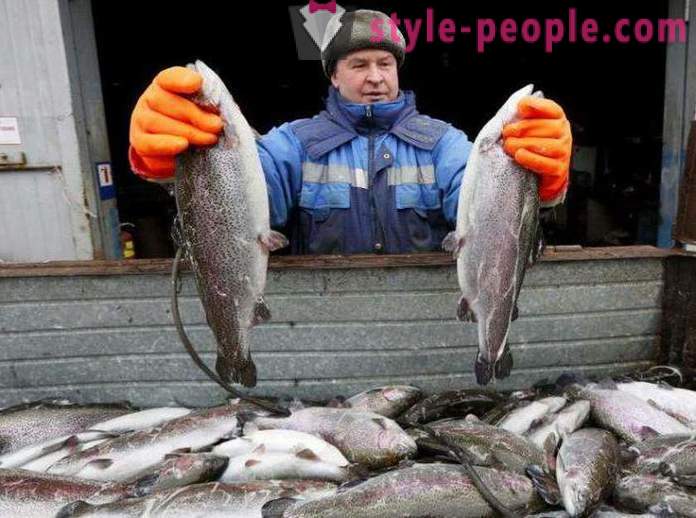 Žvejyba Chakasija Patarimai žvejų