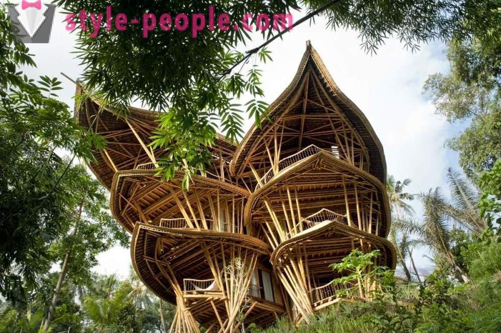 Ji mesti savo darbą, išvyko į Balį ir pastatytas prabangus namas bambuko