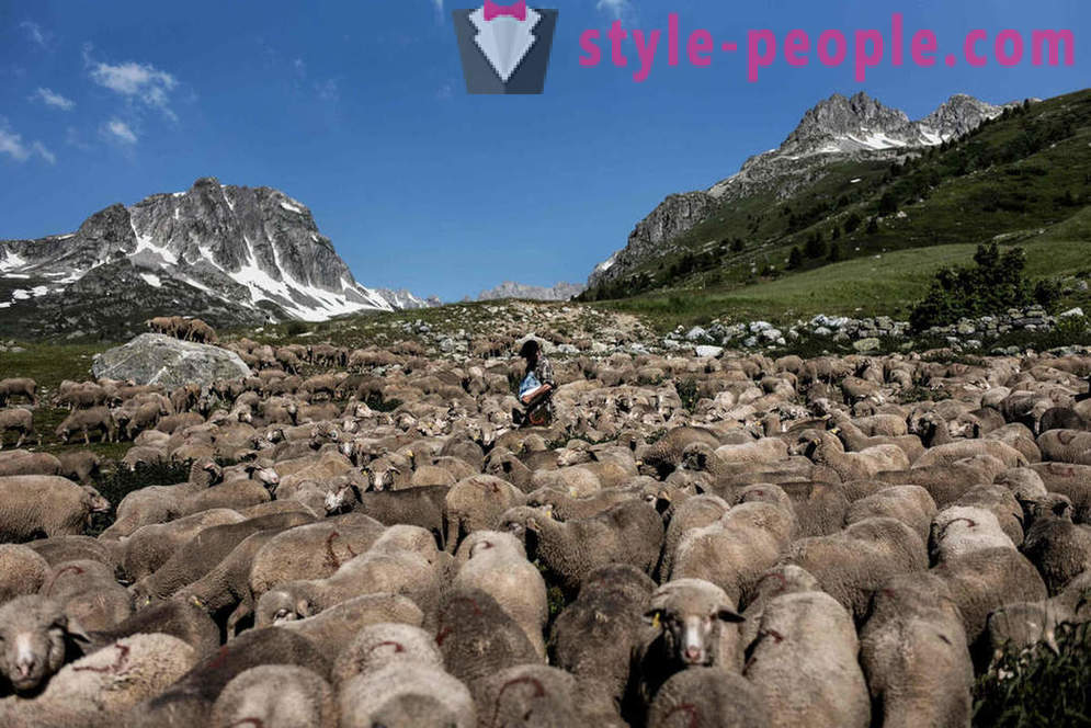 Iš Alpėse piemens gyvenimas