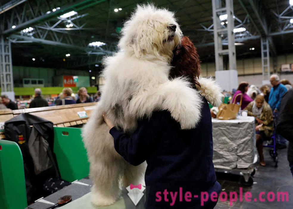 Crufts šunų paroda 2018: kaip buvo didžiausia Europos šunų paroda