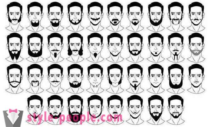 Vyriški barzda stilingas: tipai, ypač priežiūros