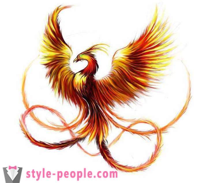 Phoenix Tatuiruotė: eskizai ir galimybės