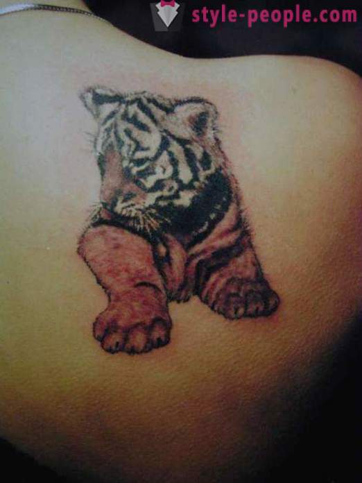 Pagrindinis vertė tigras tatuiruotė