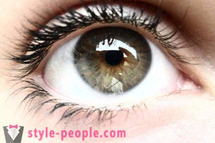 Pelkė akių spalva. Kas lemia žmogaus akių spalva?