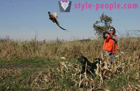 Medžioklės fazanams su haskio (foto)
