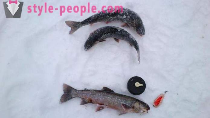 Žvejai dėmesį: Upėtakių žvejyba žiemą