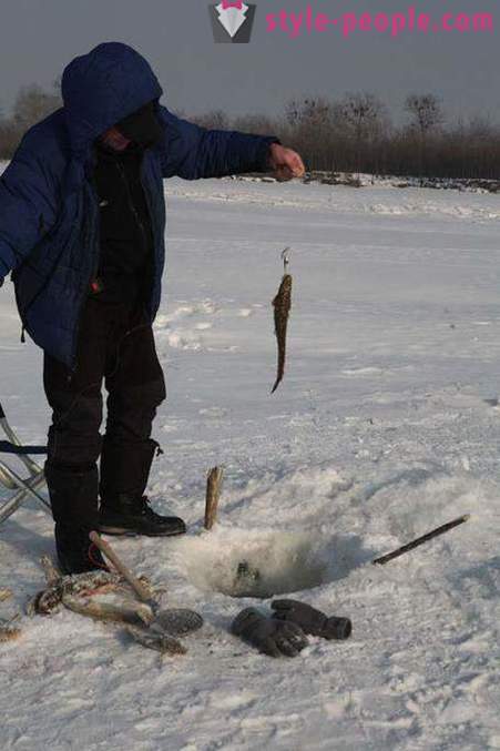 Vėgėlės žvejyba žiemą apie zherlitsy. Suimti vėgėlės žiemą velkamosiomis