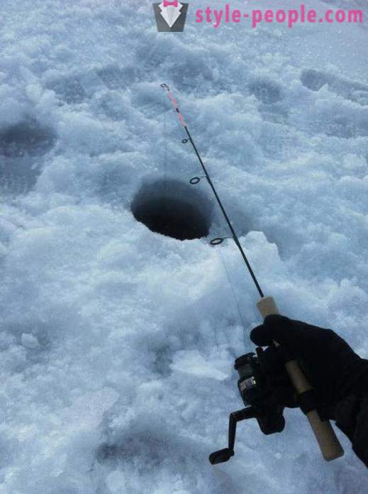 Vėgėlės žvejyba žiemą apie zherlitsy. Suimti vėgėlės žiemą velkamosiomis