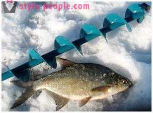Karšių žvejyba žiemą: Tajniki pradedantiesiems žvejams