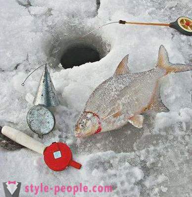 Karšių žvejyba žiemą: Tajniki pradedantiesiems žvejams