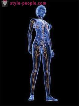 Limfodrenažinis masažas veido, kojų ir kūno. Atsiliepimai Limfodrenažinis masažas