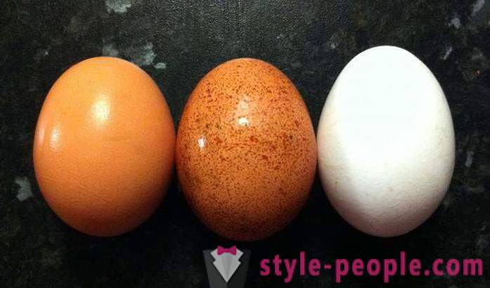 Kiaušinių dieta: aprašymas, privalumai ir trūkumai