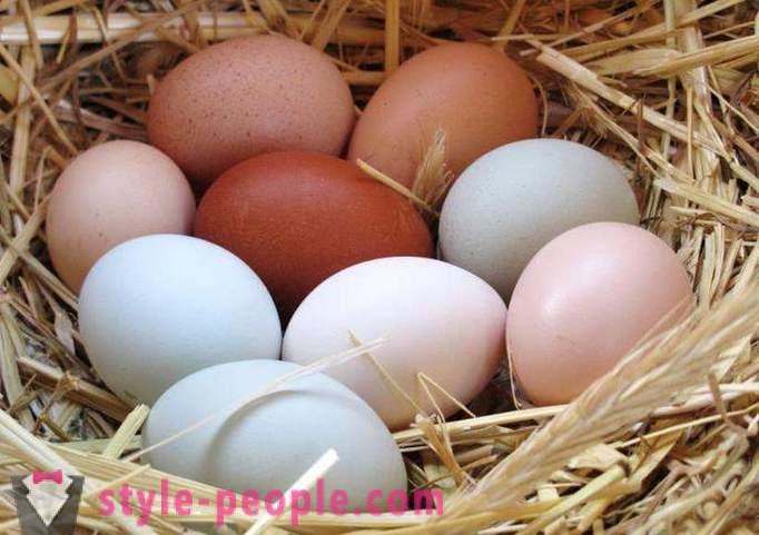 Kiaušinių dieta: aprašymas, privalumai ir trūkumai